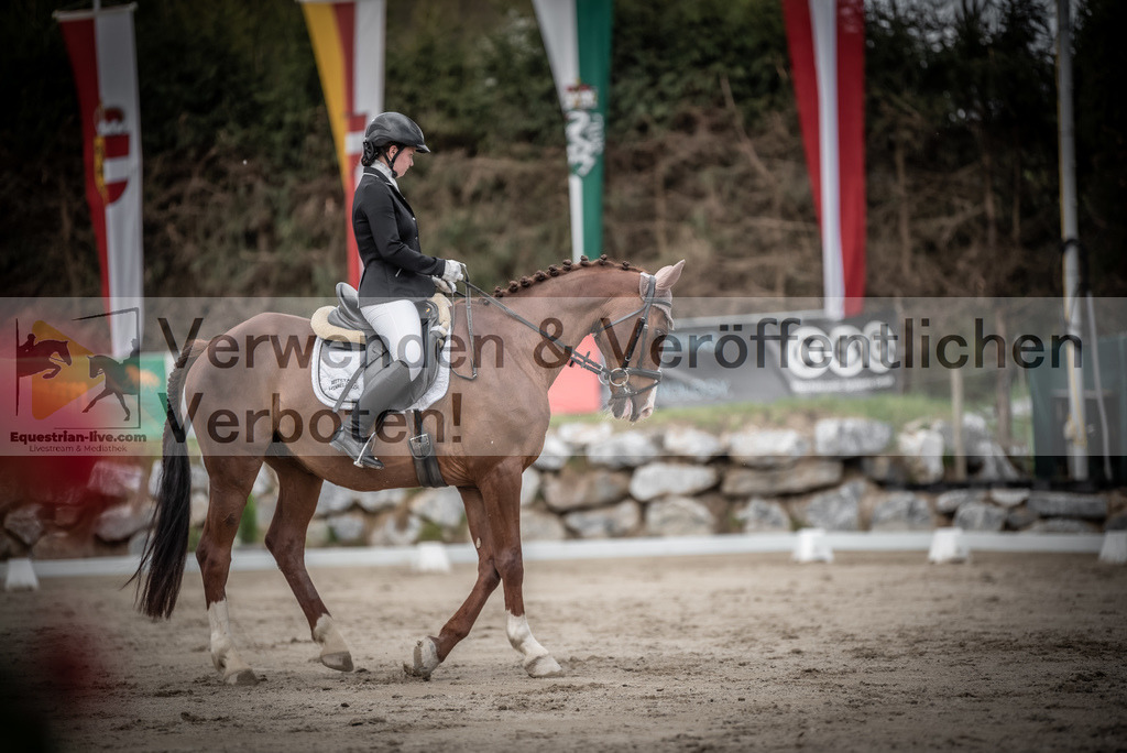 DSC_3058 | equestrian-live-com