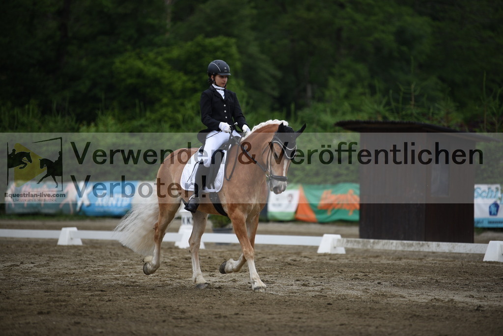 DSC_7924 | equestrian-live-com