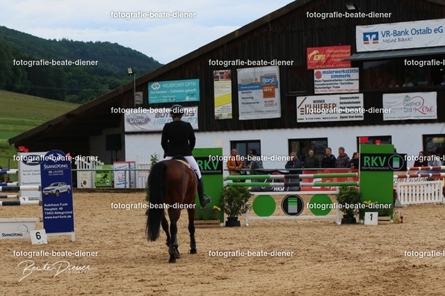 OHT1811 | Fotografie, Tiere, Hunde, Katzen, Pferde, Sportfotografie, Fotosession, Tierfotografie, Turnierfotografie, Fotografin, Fotograf - Realisiert mit Pictrs.com