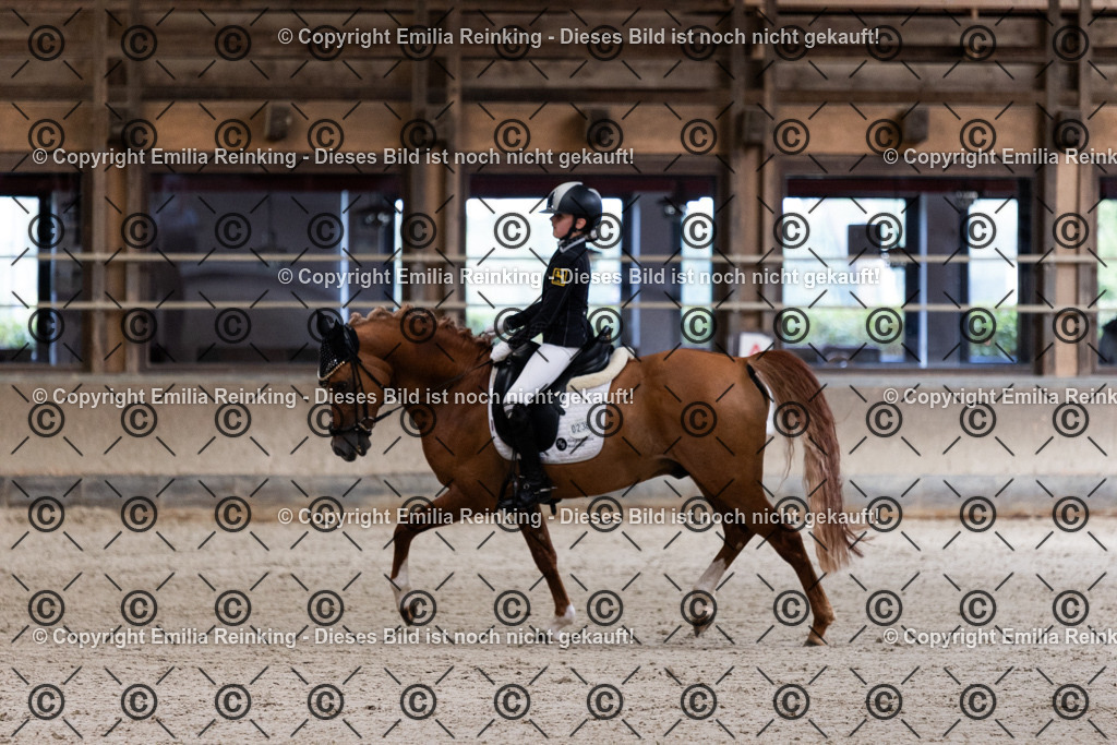 CL5A4042 | Emilia Reinking Fotografie - Realisiert mit Pictrs.com