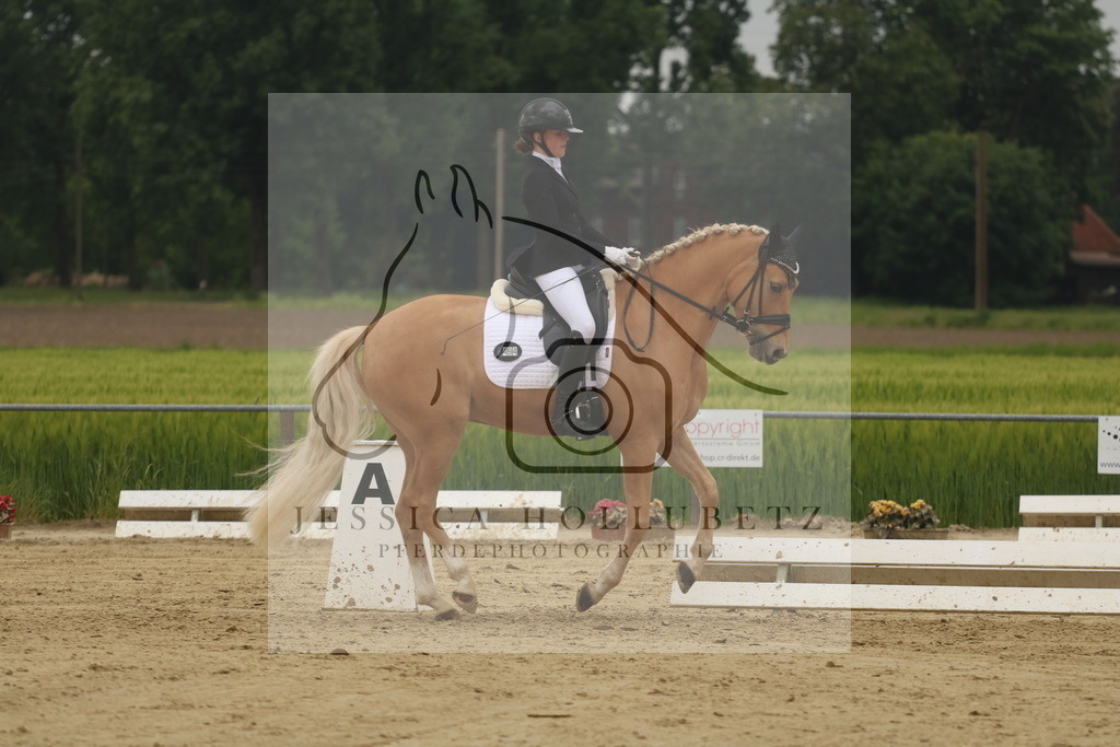 IMG_7175 | jessicahollubetz_pferdephotographie - Realisiert mit Pictrs.com