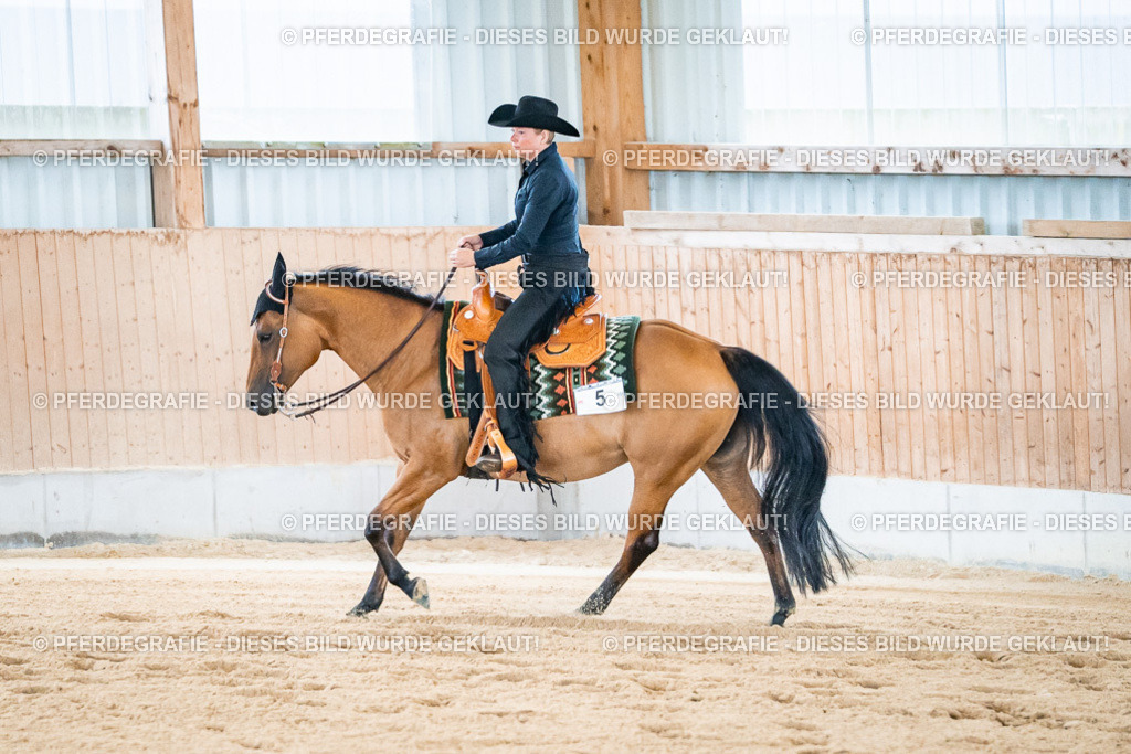 DSC01864 | Pferdegrafie