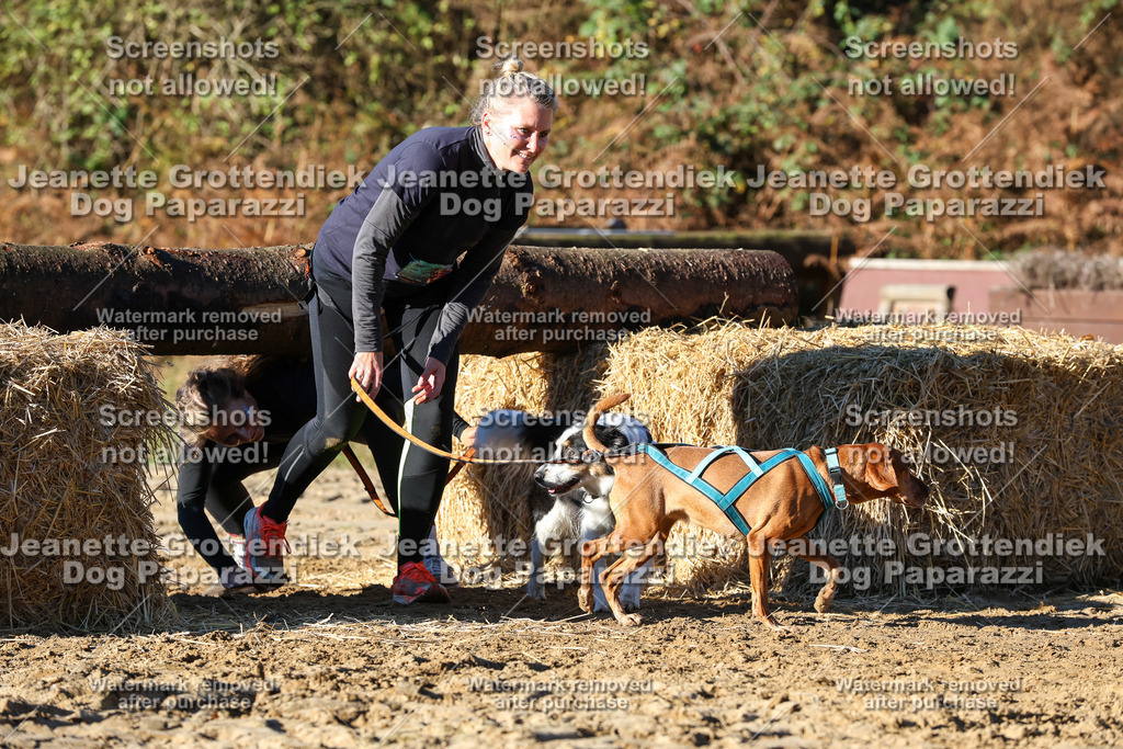 Dog Paparazzi - Strongdog 10-25-1627 | Dog Paparazzi Jeanette Grottendiek Fotografie & Videografie - Realisiert mit Pictrs.com