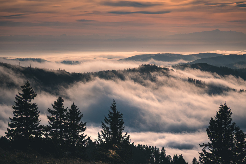 Herbstlicher Hochschwarzwald | Spätherbst im Hochschwarzwald mit Nebel über den Bergen. Blick vom Feldberg über den südlichen Schwarzwald mit den Alpen im Hintergrund. - Realisiert mit Pictrs.com