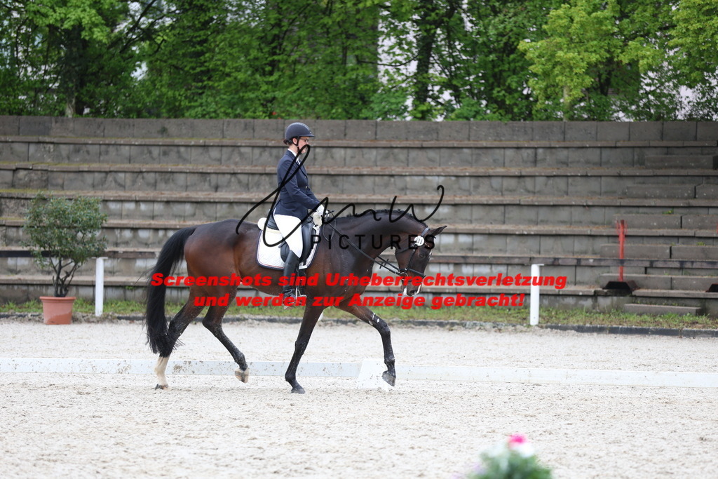 A40A9127 | lmwpictures - Realisiert mit Pictrs.com