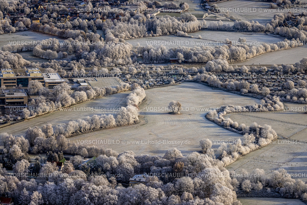 Hamm221203204 | Luftbild, Winterlandschaft mit verschneiten Bäumen an der Hochschule, Baum im Feld, Mitte, Hamm, Ruhrgebiet, Nordrhein-Westfalen, Deutschland