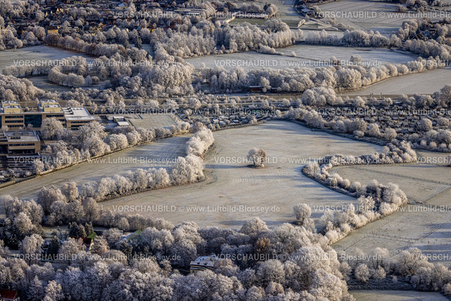 Hamm221203204 | Luftbild, Winterlandschaft mit verschneiten Bäumen an der Hochschule, Baum im Feld, Mitte, Hamm, Ruhrgebiet, Nordrhein-Westfalen, Deutschland