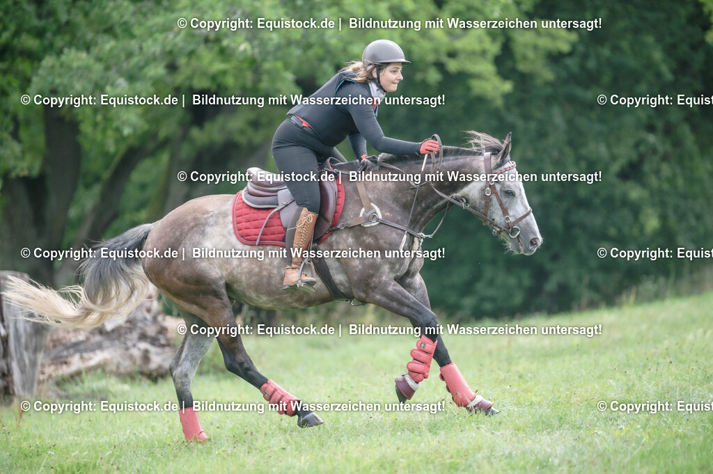 20250726_Vielseitigkeitslehrgang-Marbach_0141 | Foto: Thomas Hartig