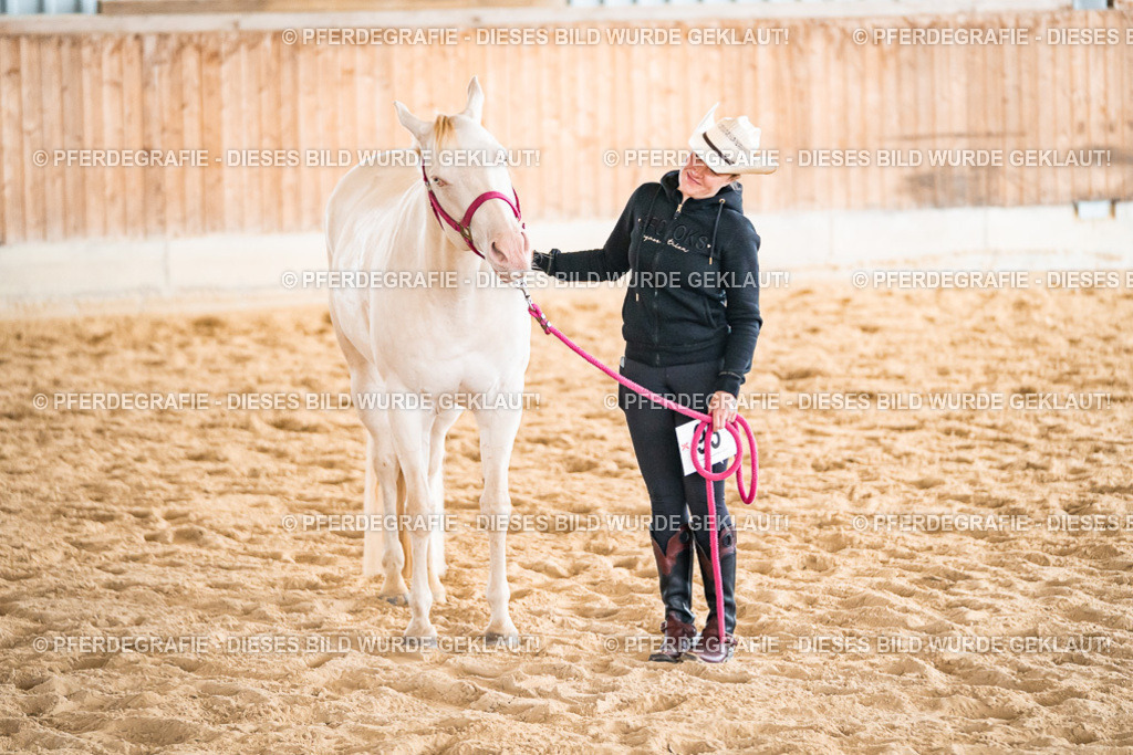 DSC01179 | Pferdegrafie