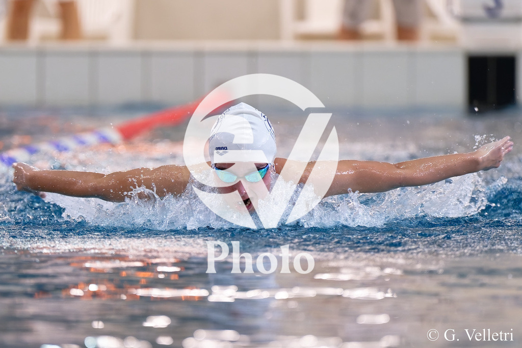 DSC_8275 | Velletri Photo