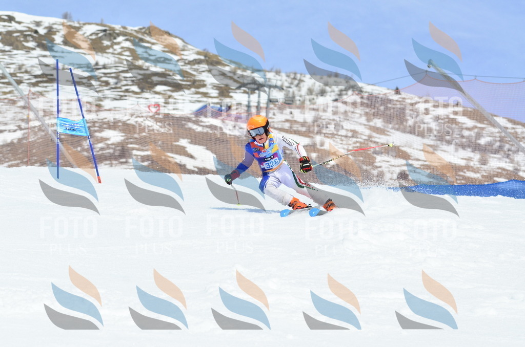 _ELE2486 | holidayphoto