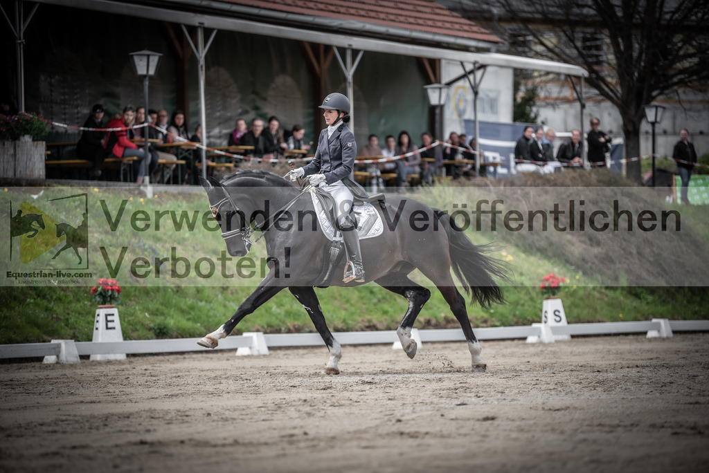 DSC_2741 | equestrian-live-com