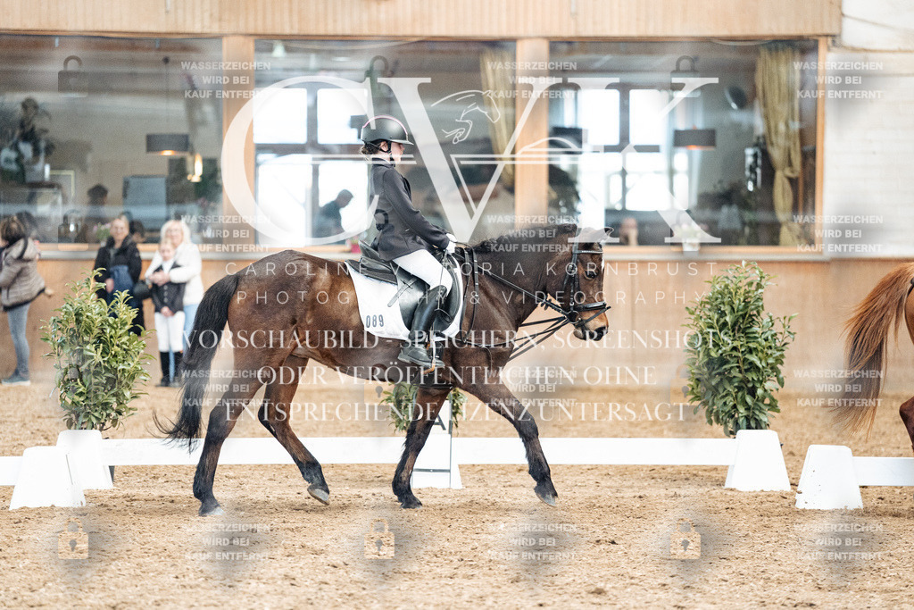 CK900437 | Turnierfotografie Pferdefotografie Trier Rheinland-Pfalz Pferdesport Reitsport Tierfotografie Sportfotografie Pferdevideo Pferdevideografie Equestrianvideography equestrianphotography  - Realized with Pictrs.com