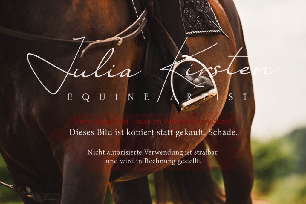 DSC_6274 | Pferde- und Turnierfotografie in Westsachsen. Pferdeportraits, Auftragszeichnungen und intuitive Kunst.