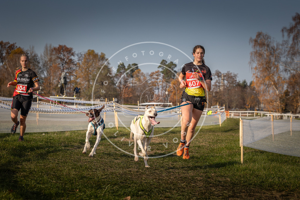 CaniXpix_0L8A0108 | Hundefotografie, Tierfotograf, Pfotenfotografie, Fotoshooting Hund, Hunde Portrait, Hundesport, Hundeportraits, Heideshooting, Hunde, Sportfotograf, Hundefotograf, Turnierhundsport, THS,  - Realisiert mit Pictrs.com