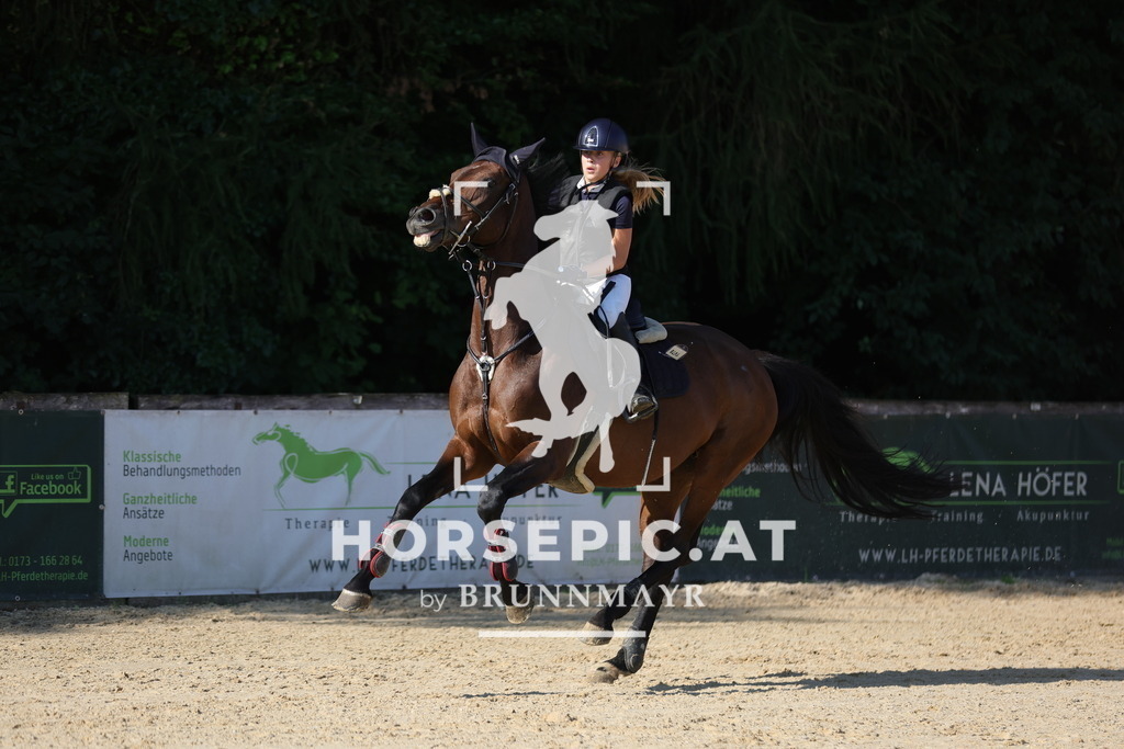 0P6A4781 | Willkommen bei Brunnmayr - Design & Fotografie – Ihrem Spezialisten für Reitturniere und Pferdeveranstaltungen in Oberösterreich, Salzburg und Bayern! Seit über 17 Jahren sind wir leidenschaftlich dabei.