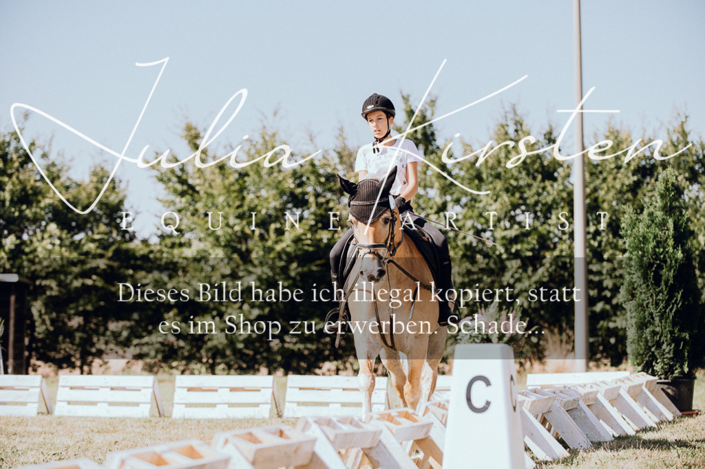 DSC_7290 | Pferde- und Turnierfotografie in Westsachsen. Pferdeportraits, Auftragszeichnungen und intuitive Kunst.