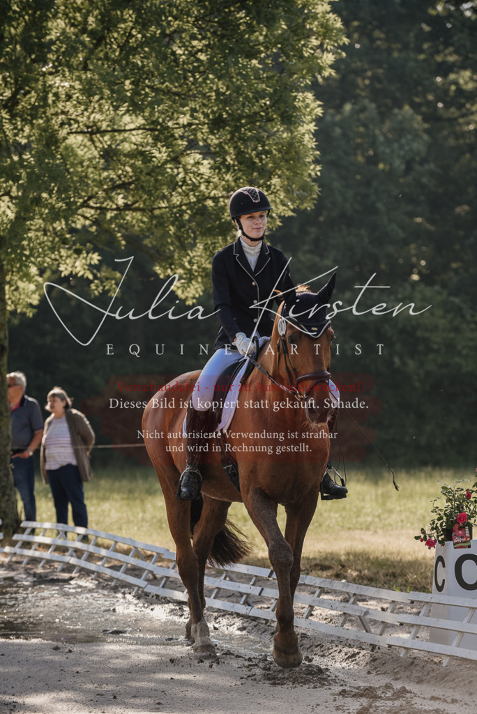 DSC_7675 | Pferde- und Turnierfotografie in Westsachsen. Pferdeportraits, Auftragszeichnungen und intuitive Kunst.