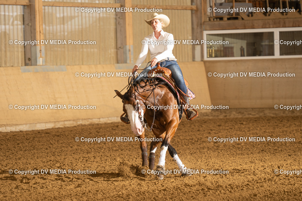 LAU00297 | dv-media-shop - Realisiert mit Pictrs.com