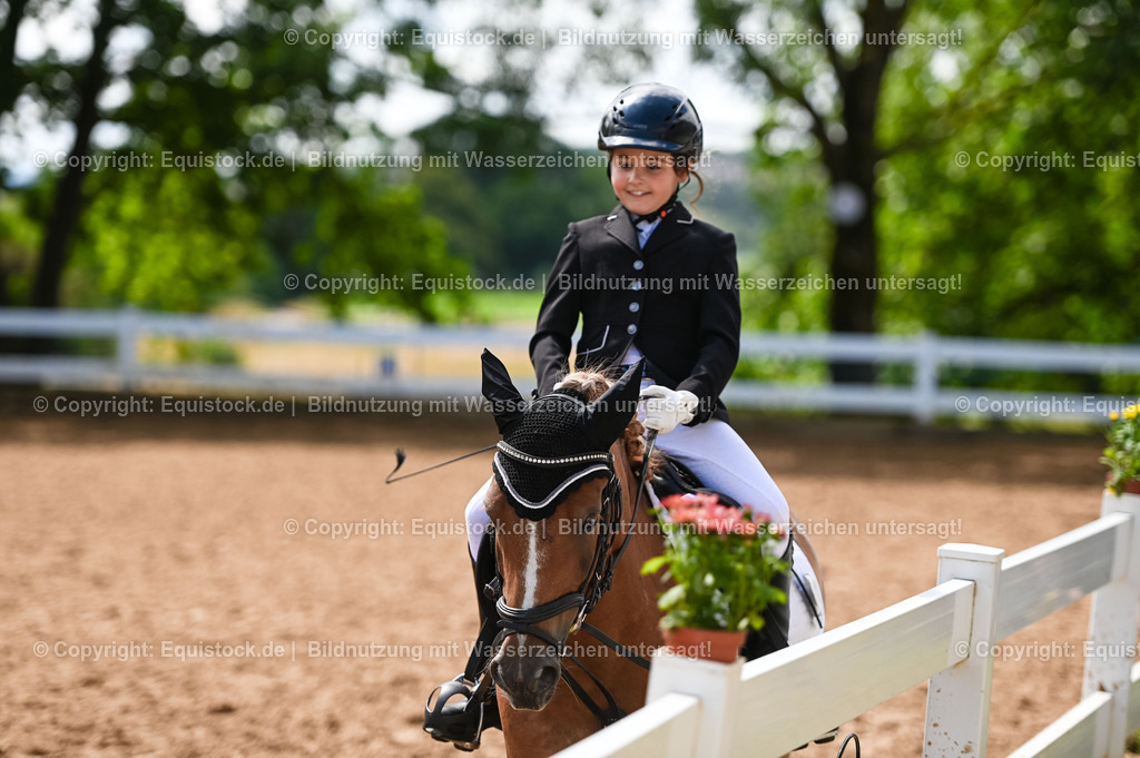 20230716_10-3_Reiter-WB Schritt - Trab - Galopp_0042 | equistock