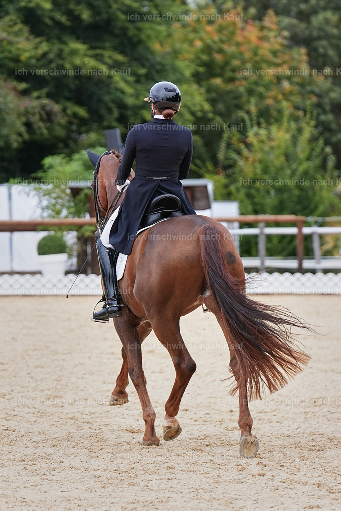 11-141-Dressur S___-Marixx-1820 | working equitationturnier fotograf videograf stoibphotography marixx film working equitation deutschland reitsport turnierfotografie eventfotografie equestrian events