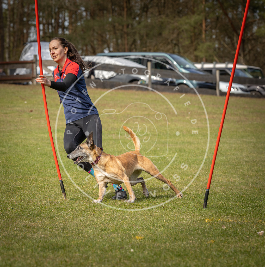 Pfotenfotografie_DV3A7457 | Hundefotografie, Tierfotograf, Pfotenfotografie, Fotoshooting Hund, Hunde Portrait, Hundesport, Hundeportraits, Heideshooting, Hunde, Sportfotograf, Hundefotograf, Turnierhundsport, THS,  - Realisiert mit Pictrs.com