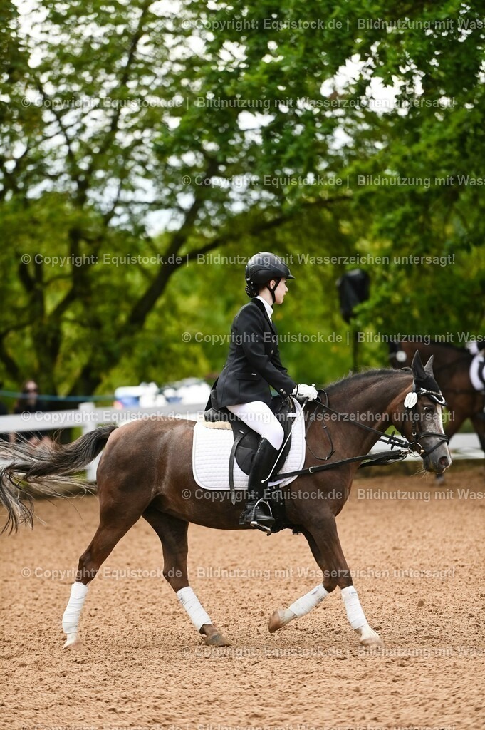 20230716_10-2_Reiter-WB Schritt - Trab - Galopp_0082 | equistock