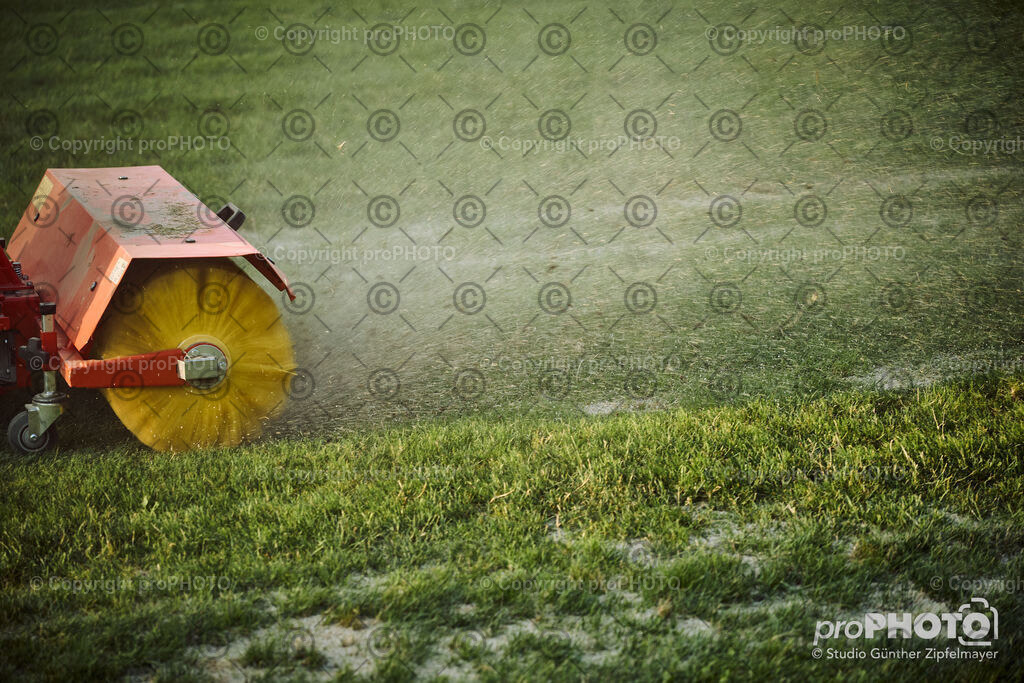 202507_Rernböck-Rasen_NZ9_1383 | proPHOTO - Realisiert mit Pictrs.com