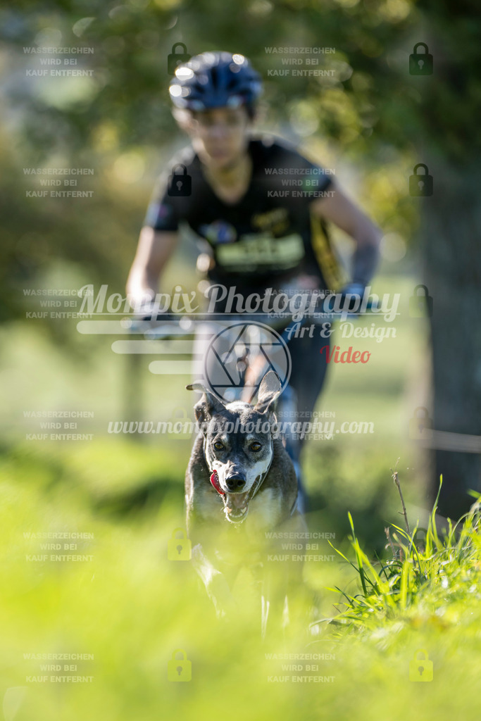 MompixPhotography_20TSB_E3_DS1-55 | PayLife