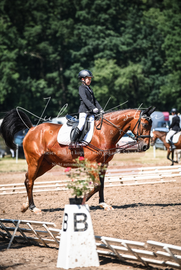 DSC_2989 | Pferde- und Turnierfotografie in Westsachsen. Pferdeportraits, Auftragszeichnungen und intuitive Kunst.