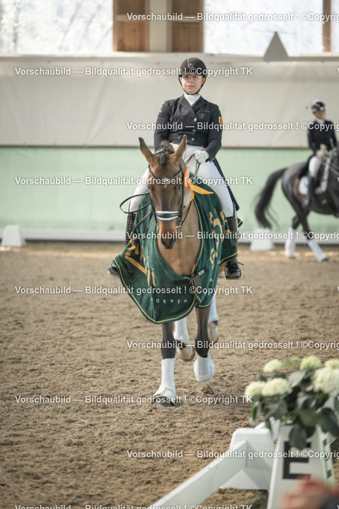 _D5A2530 | Emotionale Pferde- & People-Fotografie rund um Heidelberg, Leimen & Umgebung. Natürliche Fotos von Pferd, Mensch & Familie. Jetzt Termin sichern!