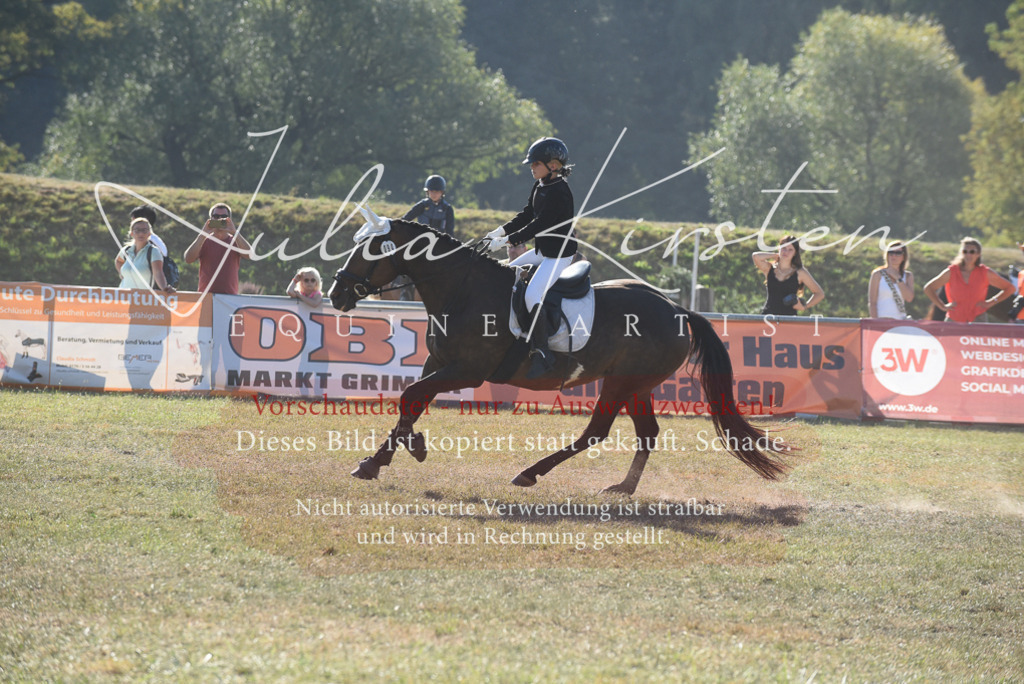 DSC_5741 | Pferde- und Turnierfotografie in Westsachsen. Pferdeportraits, Auftragszeichnungen und intuitive Kunst.