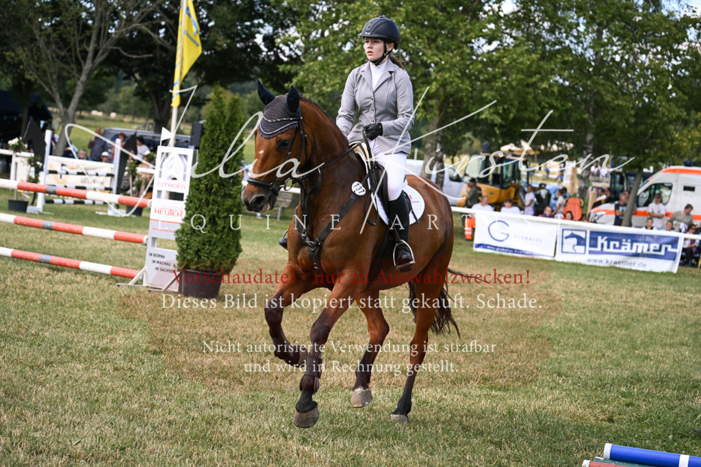 DSC_0567 | Pferde- und Turnierfotografie in Westsachsen. Pferdeportraits, Auftragszeichnungen und intuitive Kunst.
