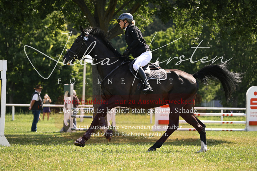 DSC_8947 | Pferde- und Turnierfotografie in Westsachsen. Pferdeportraits, Auftragszeichnungen und intuitive Kunst.