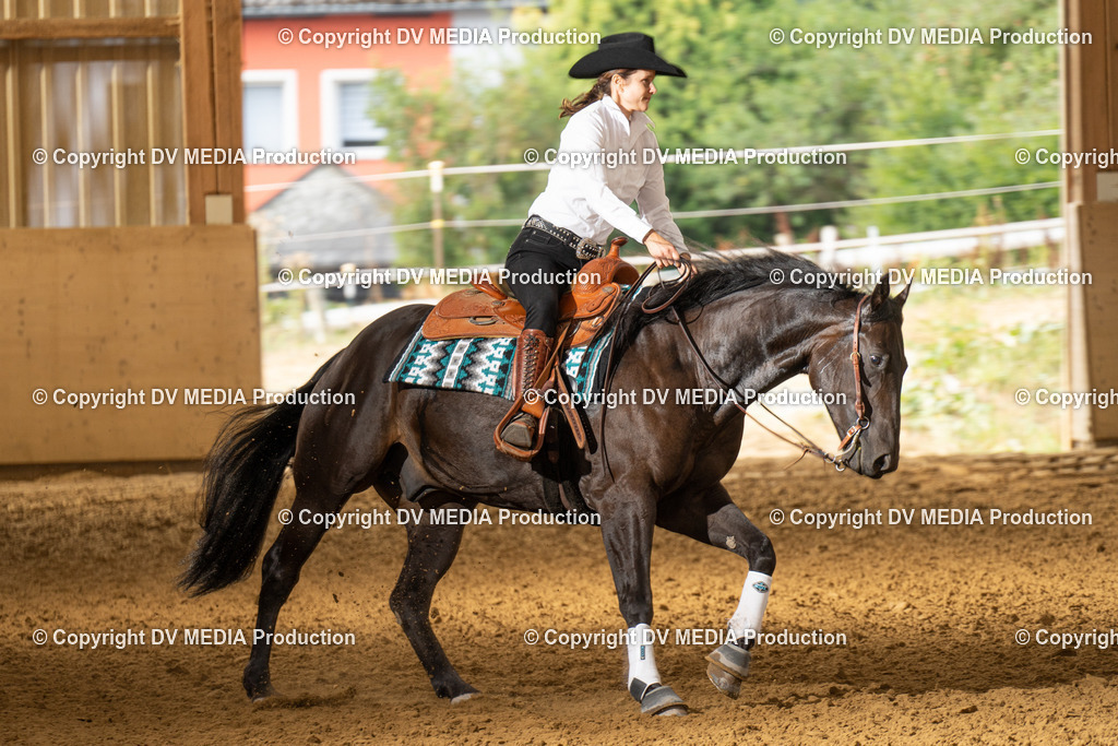 LAU01443 | dv-media-shop - Realisiert mit Pictrs.com