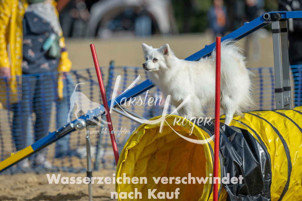 1106_ZZ90355 | kk-dogfotos
