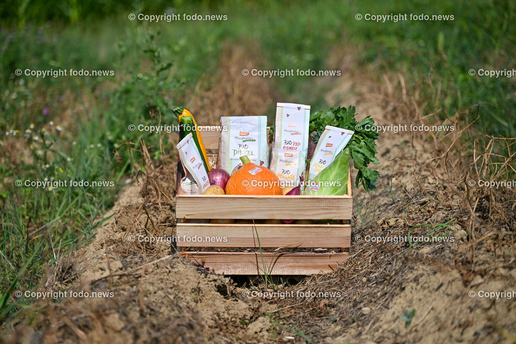 Morgentau Biogemuese GmbH_ Hofkirchen_ 25.07.2024-31 | 25.07.2024, Hofkirchen, AUT, Morgentau Biogemuese GmbH, im Bild Gemuesekorb, Biogemuese