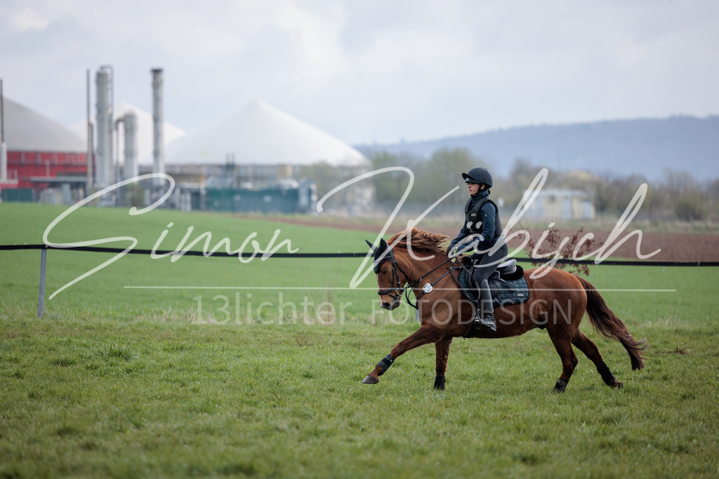 20260329-_3LI4414 | Tierfotografie Pferde, Hunde, Katzen, Haustiere.
Turnierfotografie Reitturniere, Reiten, Springreiten, Dressur in Hanau, dem Main-Kinzig-Kreis und dem Rhein-Main- Gebiet um Frankfurt