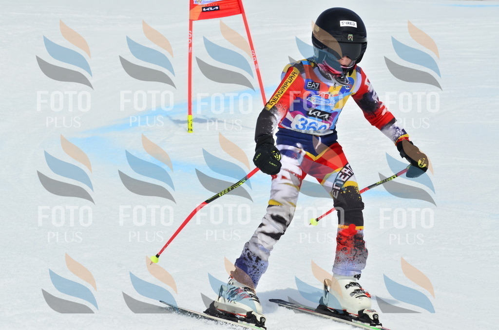 _ELE2862 | holidayphoto