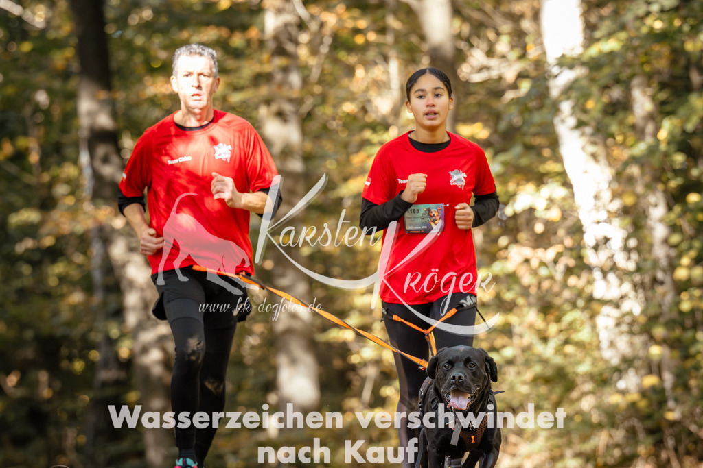 1228_ZZ95303 | kk-dogfotos