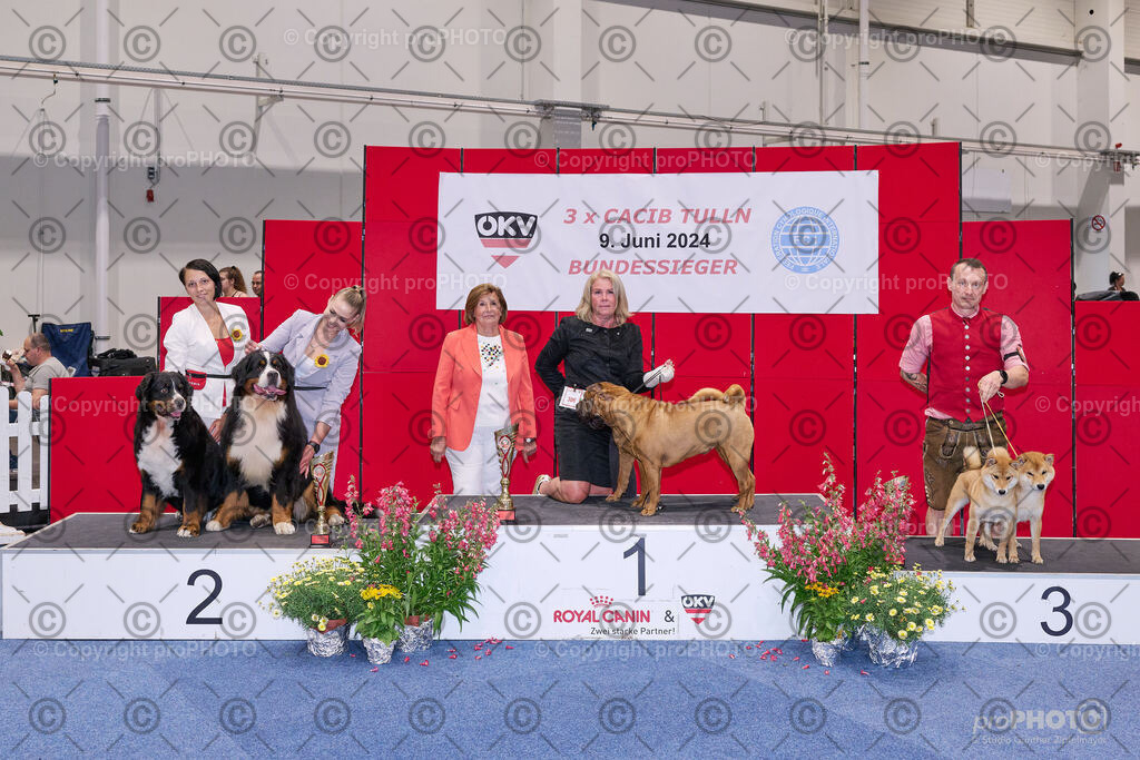 202406_ÖKV-IHA-Tulln24_NZ9_9478 | proPHOTO - Realisiert mit Pictrs.com