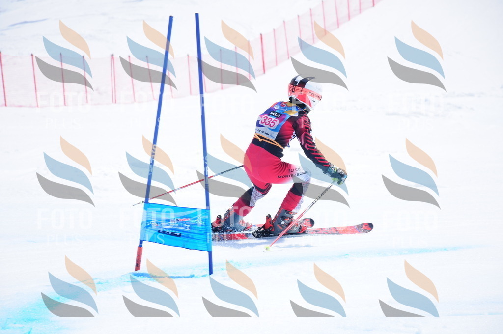 DSC_6990 | holidayphoto