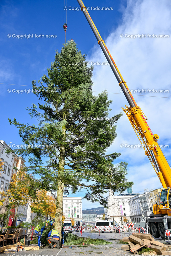 Hauptplatz Linz_ Aufstellen des Christbaum 2023_ 02.11.2023-2 | 02.11.2023, Hauptplatz Linz, AUT, Aufstellen des Christbaum 2023, im Bild Christbaum Hauptplatz Linz 2023