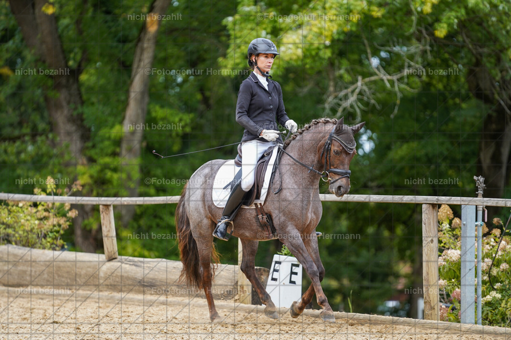 20231007-SN_00677 | Diessen am Ammersee, 2023, Dressur- und Springturnier, Reitsport, Turnierfotografie, Pferdebilder, Reitbilder, Turnierfotografen Bayern, Fotoagentur Herrmann