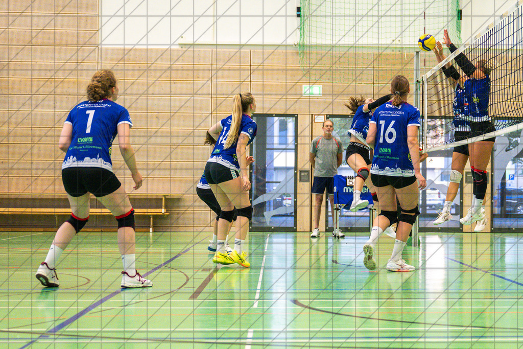 2. VBL Nord 25/26 | VC Osnabrück | Trainingsimpressionen | //  01.09.25: 2. VBL Nord 25/26 | VC Osnabrück | Trainingsimpressionen / Osnabrück / Deutschland  //   CREDIT:www.bullenfotos.de, Martin König, Hörner Weg 40, D-49078 Osnabrück, +4917663732967 // Nutzung und Weitergabe nur zu den vereinbarten Zwecken. Presseanfragen an Ersteller. Alle Rechte beim Ersteller. Honorierung nach MFM. - Realisiert mit Pictrs.com