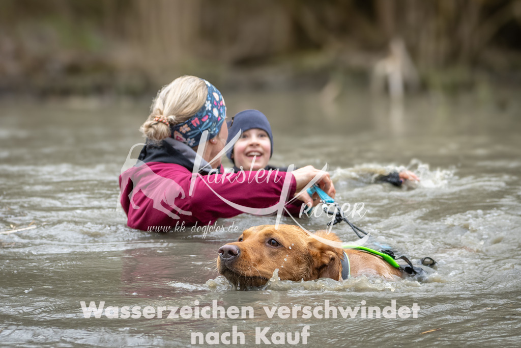 1131_ZZ99807 | kk-dogfotos