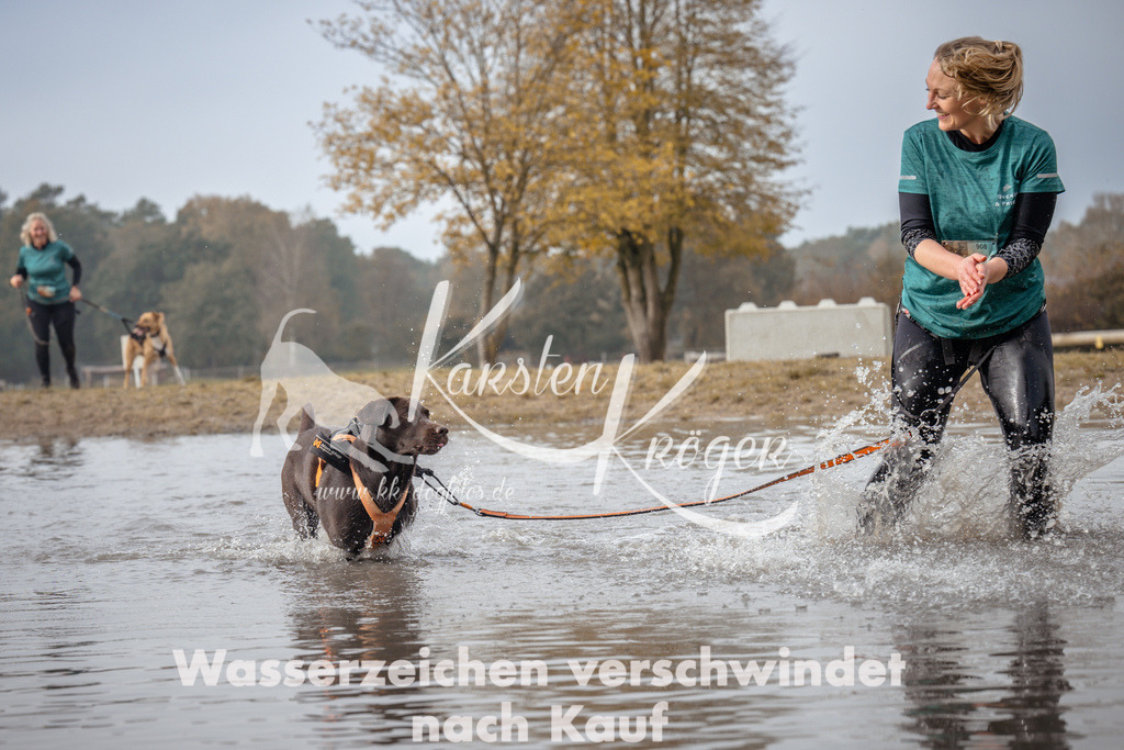 1119_ZZ93998 | kk-dogfotos