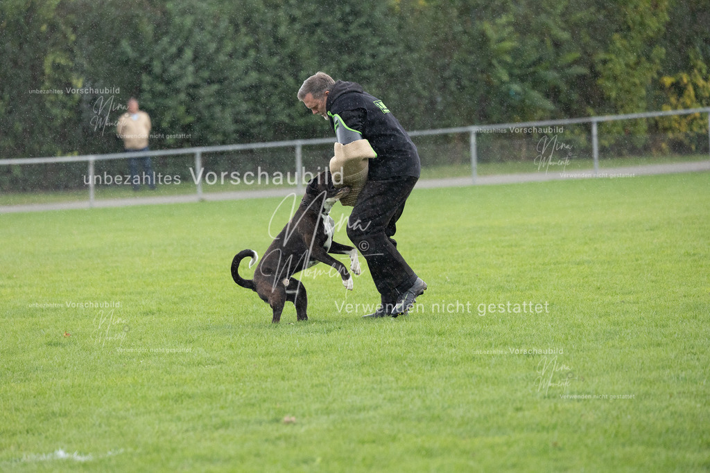 _16A7166 | Einzigartige Fotos von Hunden & Menschen –Actionfotos, Portraits, Vereinsaufnahmen & Paarshootings – authentisch, lebendig & mit Herz.