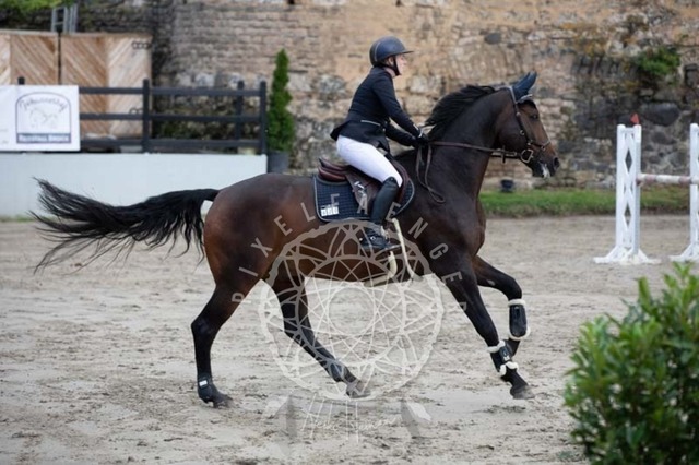 2B4A3562 | pixelfaenger - Realisiert mit Pictrs.com