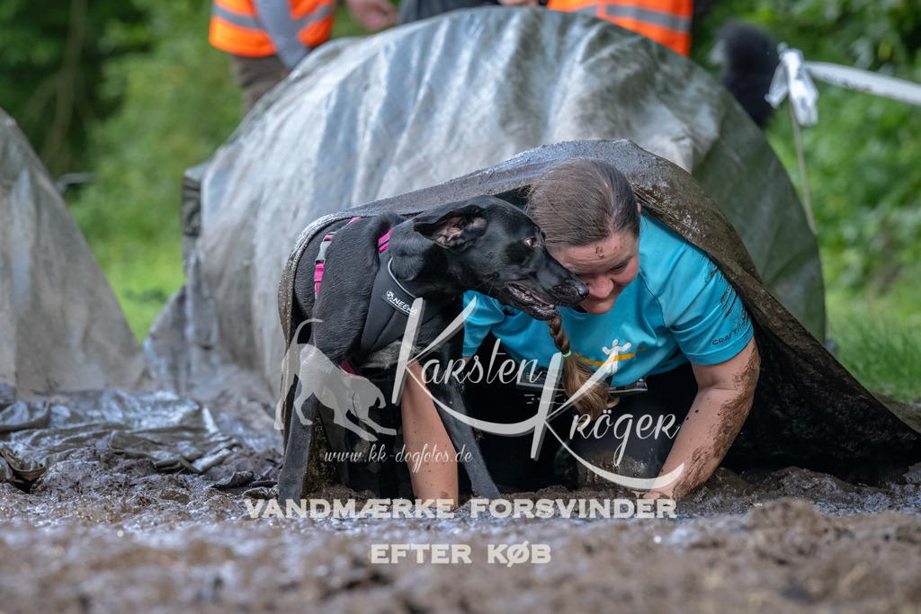 1714_ZZ91521-Bearbeitet | kk-dogfotos